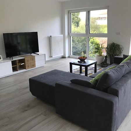 Ferienwohnung „Frosch“ Neukirchen-Balbini Esterno foto